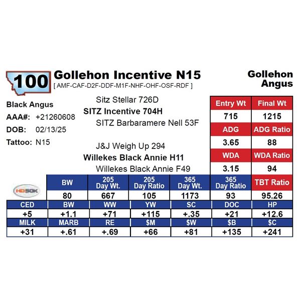 Gollehon Incentive N15