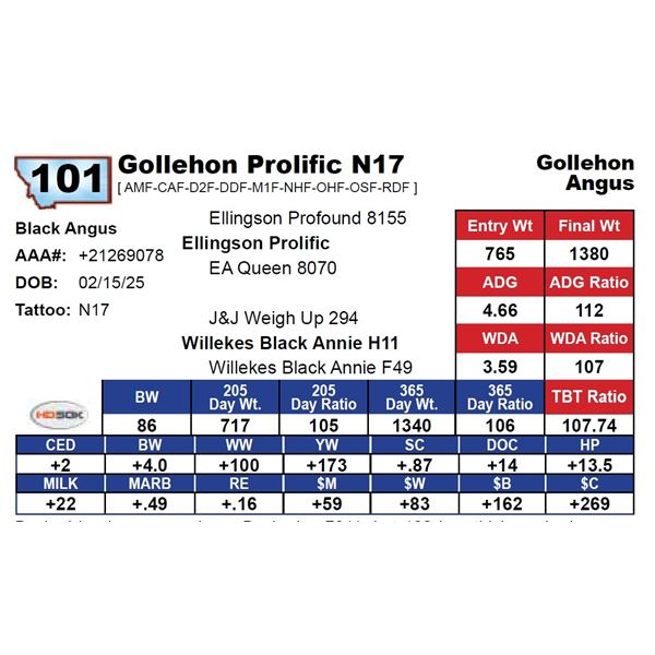 Gollehon Prolific N17