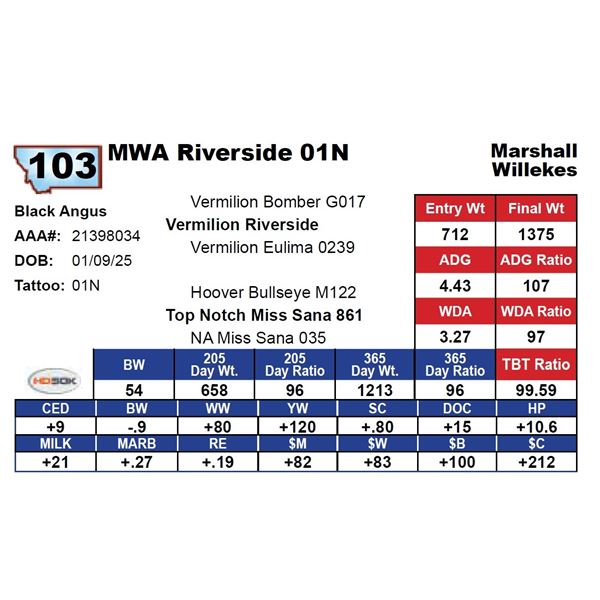 MWA Riverside 01N