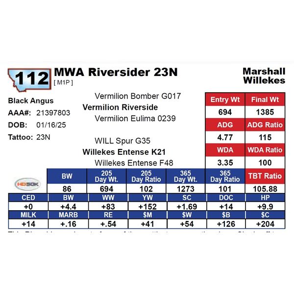 MWA Riversider 23N