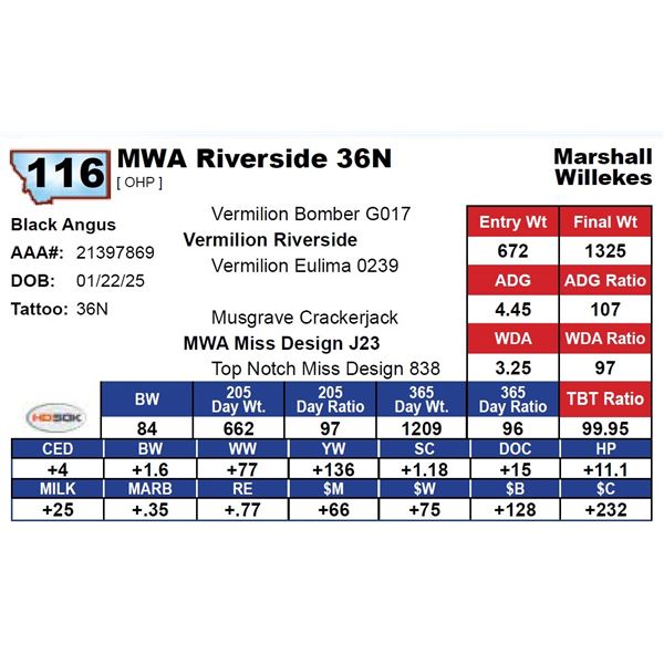 MWA Riverside 36N