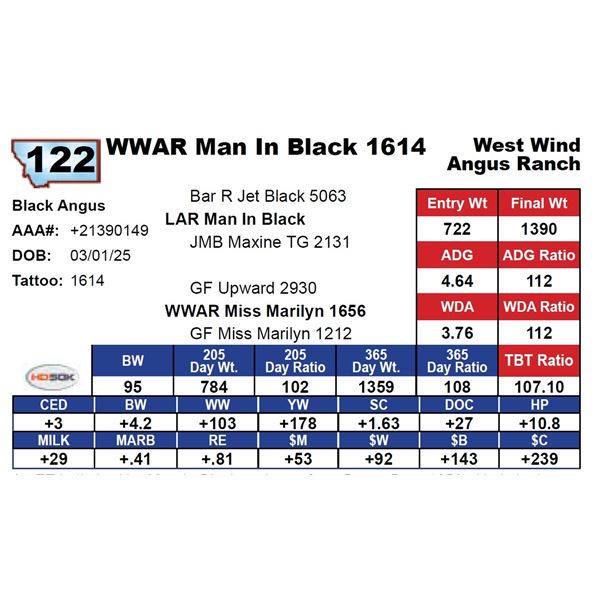 WWAR Man In Black 1614
