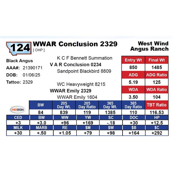 WWAR Conclusion 2329