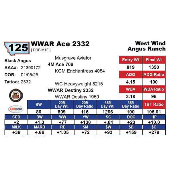 WWAR Ace 2332