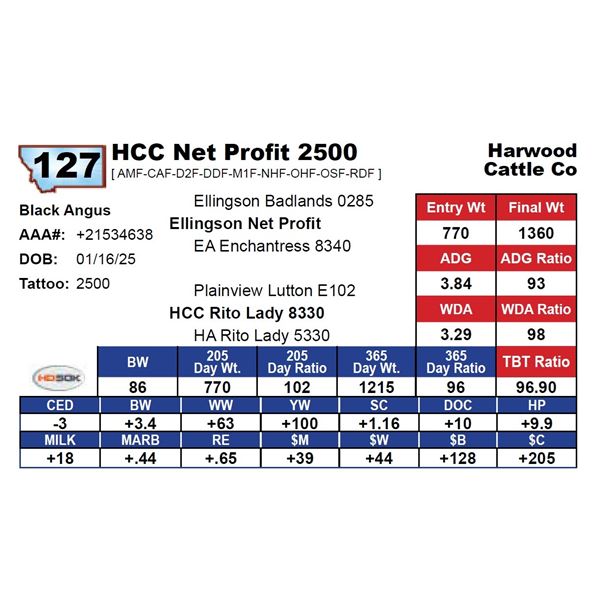 HCC Net Profit 2500