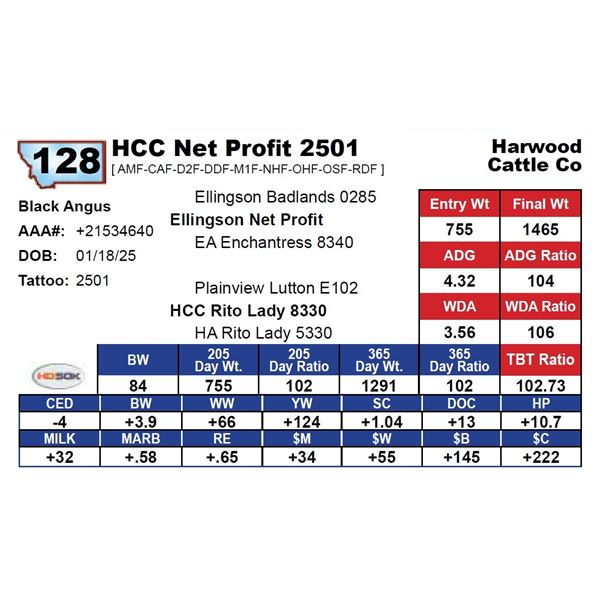 HCC Net Profit 2501
