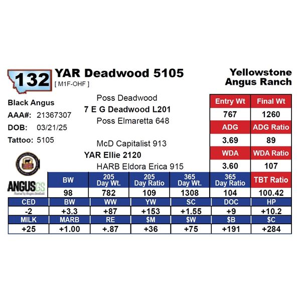 YAR Deadwood 5105