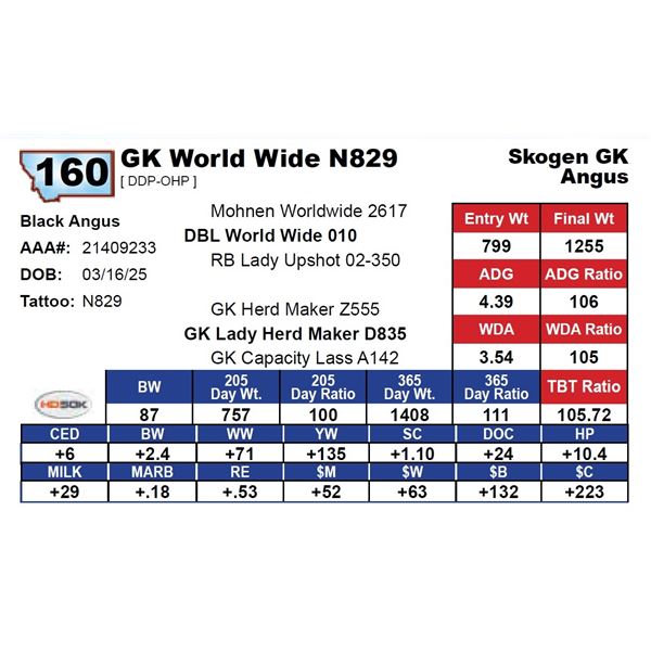 GK World Wide N829