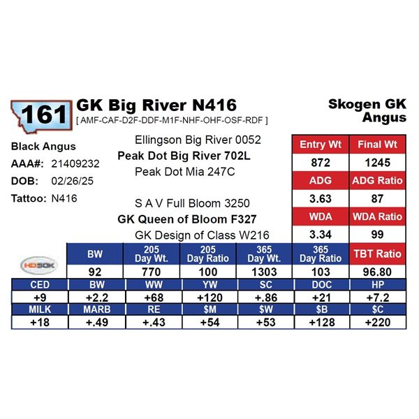 GK Big River N416