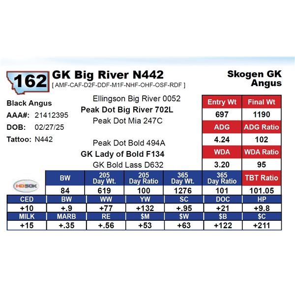 GK Big River N442