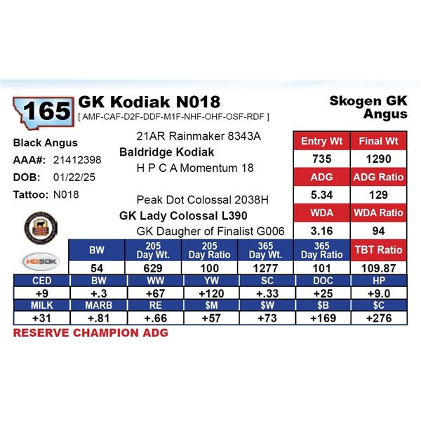 GK Kodiak N018