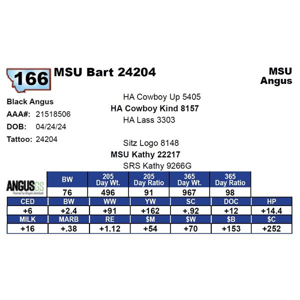 MSU Bart 24204