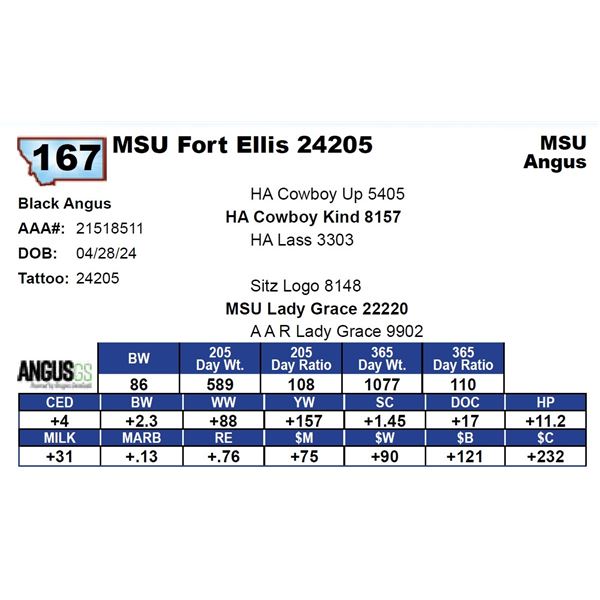 MSU Fort Ellis 24205