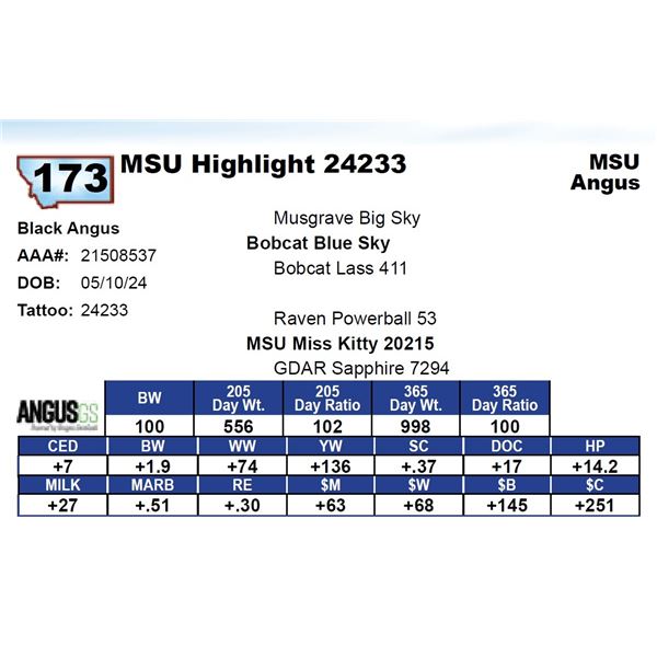 MSU Highlight 24233
