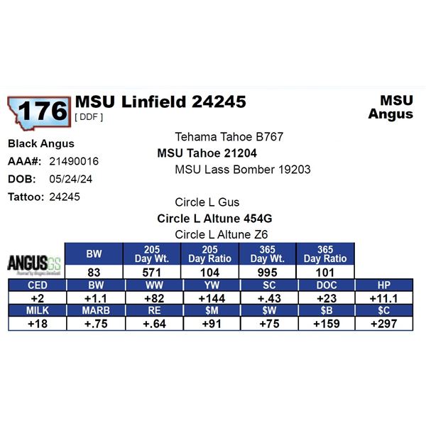 MSU Linfield 24245