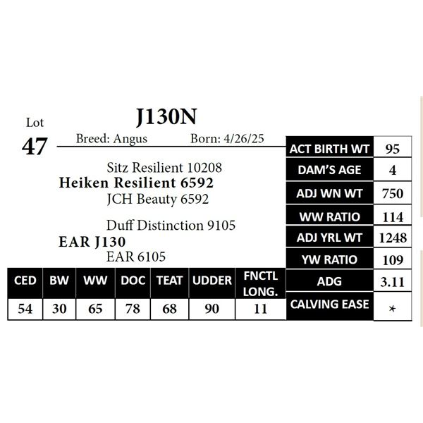 J130N