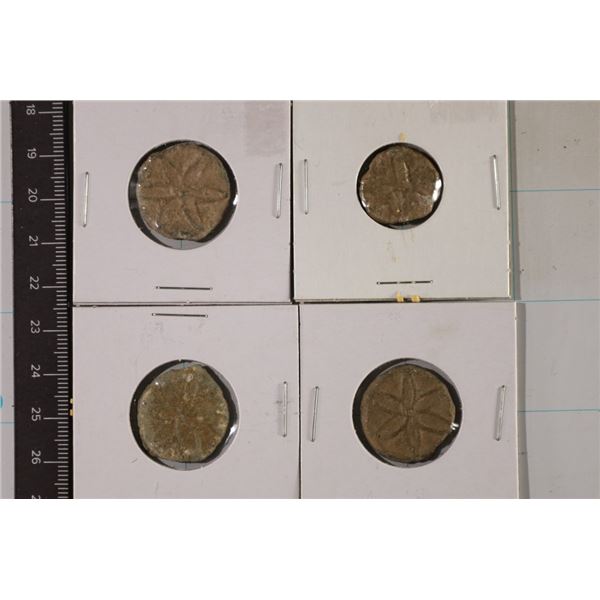 4-CLAY LEAD MOLDED SEALS