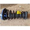 Image 3 : Complete Loaded Strut and Coil Spring Assembly 81681/N325K1