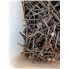 Image 2 : Pail of Nails