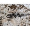 Image 3 : Weird Metal Rod w/ Man "Design"