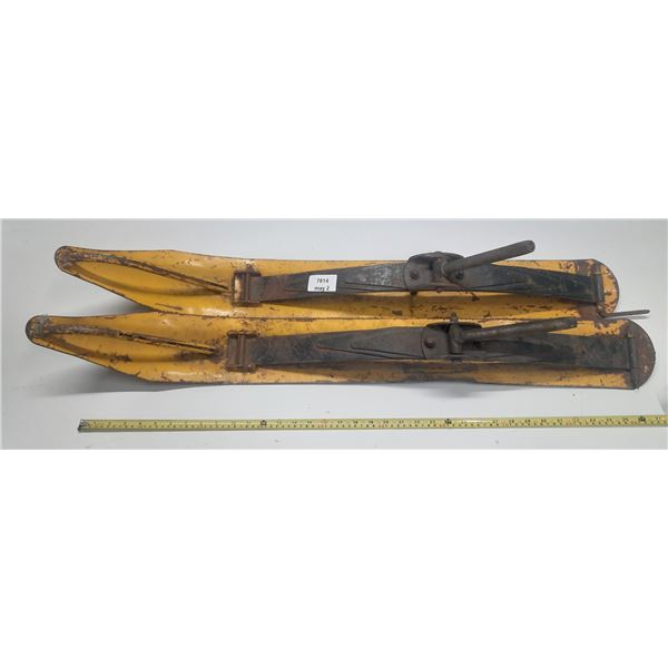 Vintage Metal Skis.