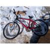 Image 1 : Back Roads Infinity Bike (Missing Handle, and some Damage)
