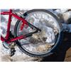 Image 2 : Back Roads Infinity Bike (Missing Handle, and some Damage)