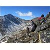 Image 2 : WIN A FULLY GUIDED ALL-INCLUSIVE 14 DAY STONE SHEEP HUNT YUKON STONE OUTFITTERS