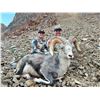 Image 3 : WIN A FULLY GUIDED ALL-INCLUSIVE 14 DAY STONE SHEEP HUNT YUKON STONE OUTFITTERS