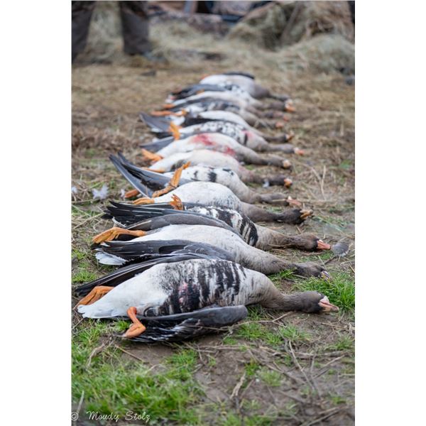 ARKANSAS, STUTTGART WATERFOWL HUNT — 2 HUNTERS, 2 DAYS