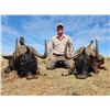 Image 7 : SOUTH AFRICA SAFARI - 3 TROPHY FEES — 1 HUNTER,1 NON HUNTER, 5 DAYS