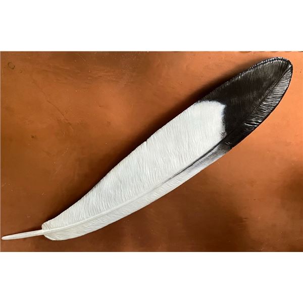 LIFE-SIZE BALD EAGLE FEATHER BRONZE SCULPTURE