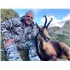 Image 11 : SPAIN, MOUFLON SHEEP HUNT — 1 HUNTER, 4 DAYS
