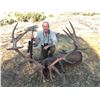Image 4 : SPAIN, MOUFLON SHEEP HUNT — 1 HUNTER, 4 DAYS