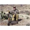 Image 1 : ARIZONA RIFLE JAVELINA HUNT — 2 HUNTERS, 4 DAYS