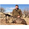 Image 2 : ARIZONA RIFLE JAVELINA HUNT — 2 HUNTERS, 4 DAYS