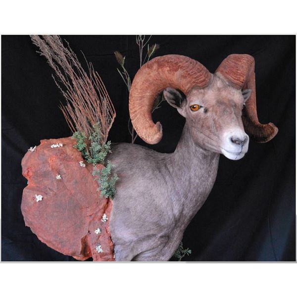 ARTISTIC WILDLIFE TAXIDERMY PEDESTAL MOUNT