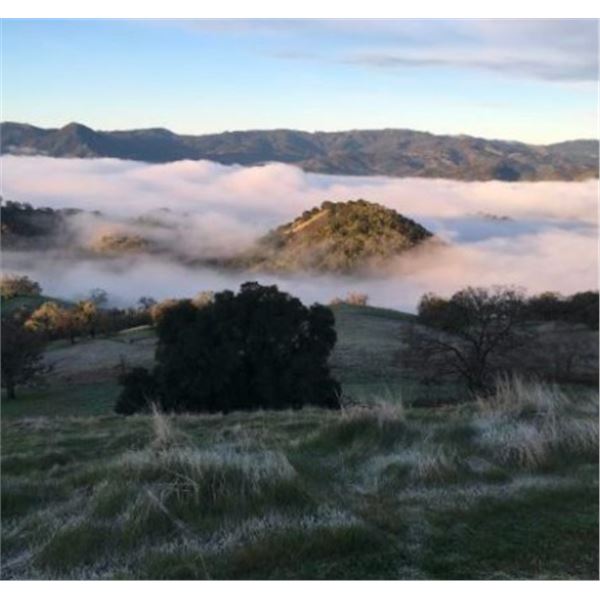 CALIFORNIA HREC BLACKTAIL HUNT — 1 HUNTER, 1 DAY