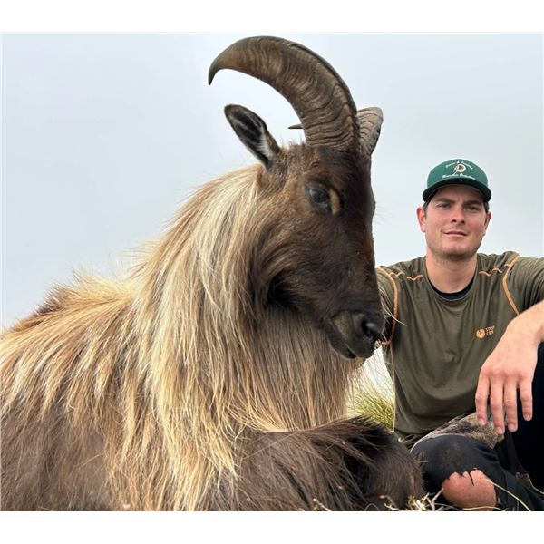 NEW ZEALAND, TAHR HUNT —  1 HUNTER, 5 DAYS