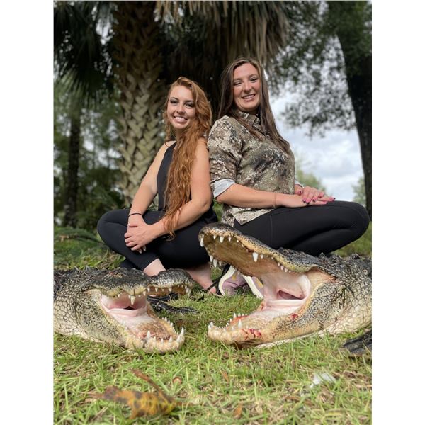 FLORIDA ALLIGATOR HUNT — 2 HUNTERS, 2 DAYS