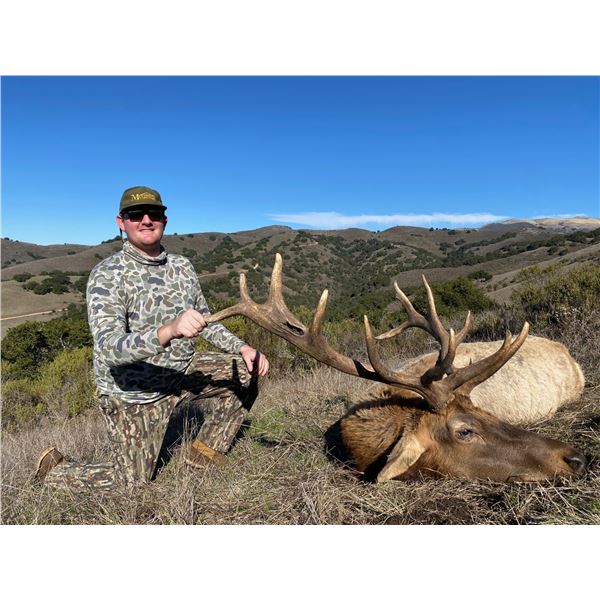 BARDIN RANCH, BULL TULE ELK — 1 HUNTER, 1 OBSERVER, 7 DAYS