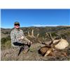 Image 1 : BARDIN RANCH, BULL TULE ELK — 1 HUNTER, 1 OBSERVER, 7 DAYS