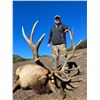 Image 3 : BARDIN RANCH, BULL TULE ELK — 1 HUNTER, 1 OBSERVER, 7 DAYS