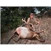 Image 4 : BARDIN RANCH, BULL TULE ELK — 1 HUNTER, 1 OBSERVER, 7 DAYS