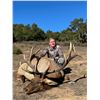 Image 5 : BARDIN RANCH, BULL TULE ELK — 1 HUNTER, 1 OBSERVER, 7 DAYS