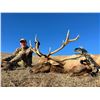 Image 6 : BARDIN RANCH, BULL TULE ELK — 1 HUNTER, 1 OBSERVER, 7 DAYS