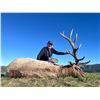 Image 7 : BARDIN RANCH, BULL TULE ELK — 1 HUNTER, 1 OBSERVER, 7 DAYS