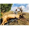 Image 8 : BARDIN RANCH, BULL TULE ELK — 1 HUNTER, 1 OBSERVER, 7 DAYS