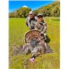 Image 3 : BARDIN RANCH, TURKEY HUNT — 1 YOUTH/FIRST TIME HUNTER, 2 DAYS