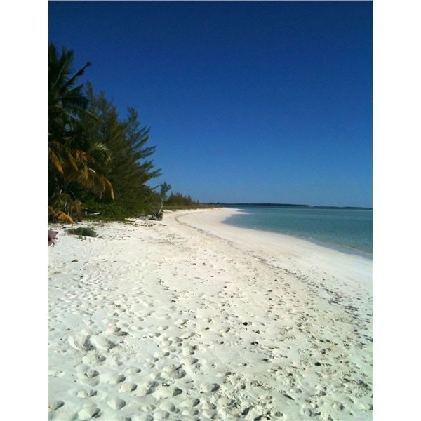 BAHAMAS, FAMILY VACATION — 8 PEOPLE, 7 DAYS